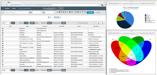 Nuix Web Review and Analytics 2